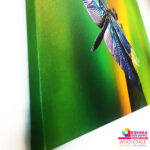 simple product - Image 3